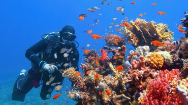 Hurghada: A Red Sea Paradise Beckons with Alfath Tours